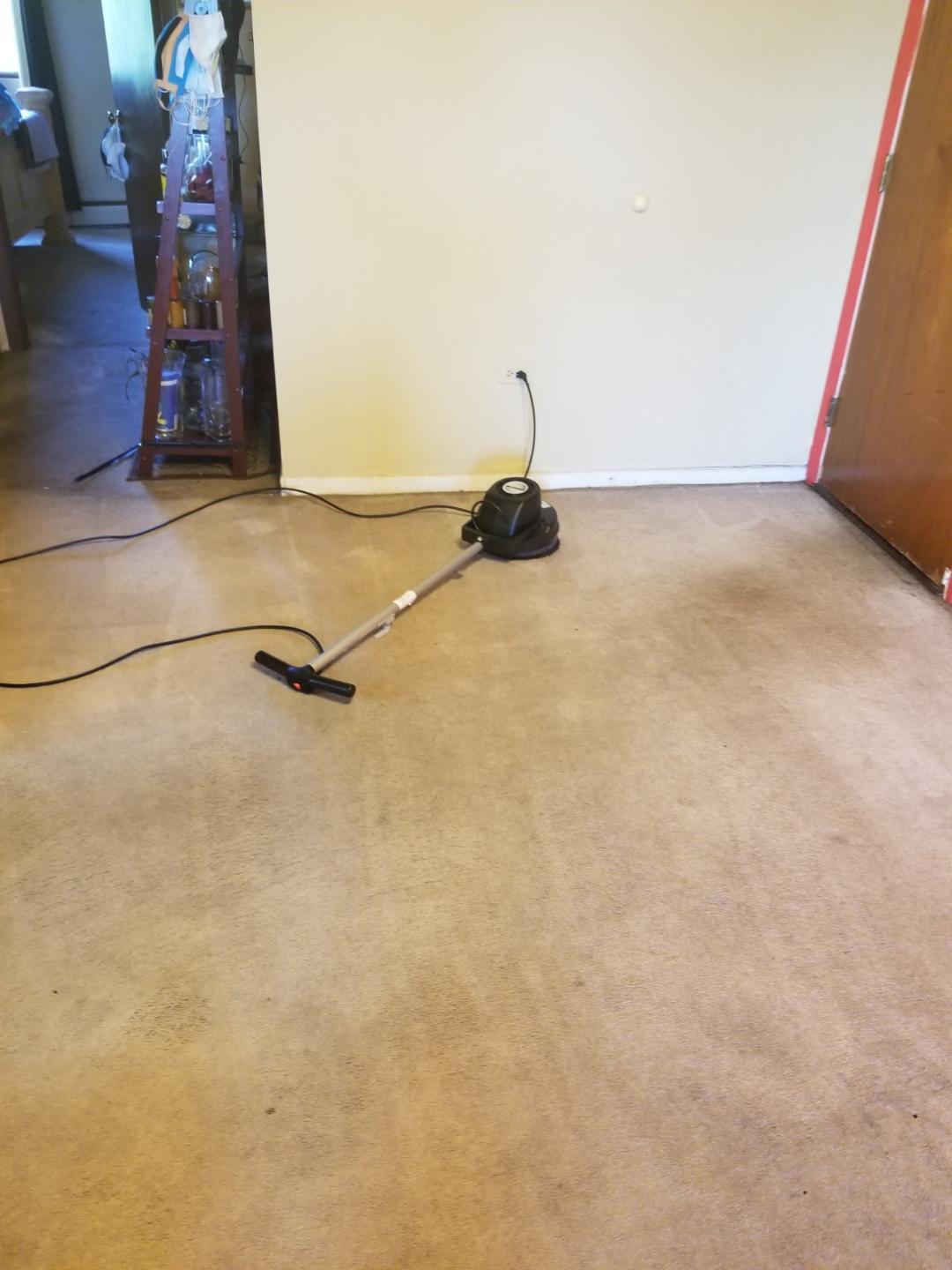 Gallery Revive Carpet Cleaning Solutions Carpet Cleaning Service in