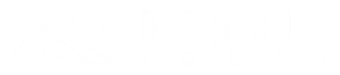 Denali Solar Logo