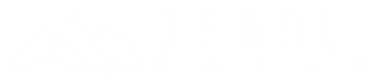 Denali Solar Logo