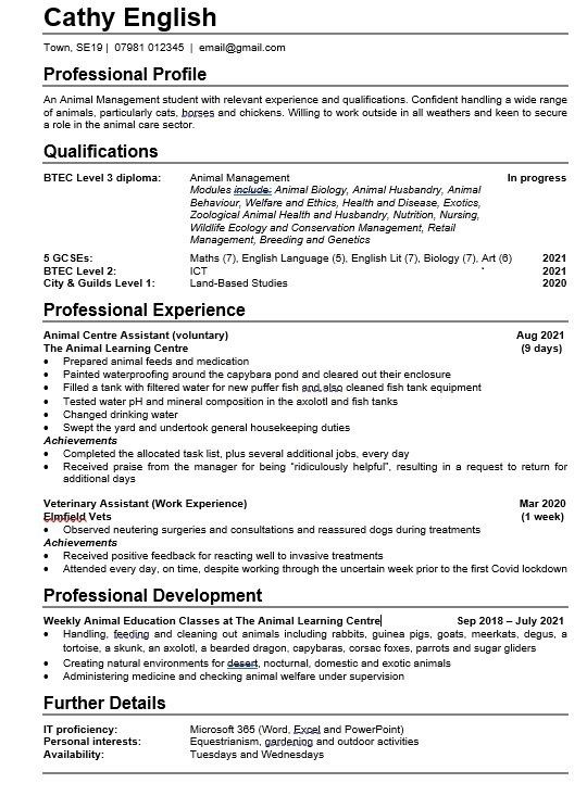 An example of a CV for someone with no experience.