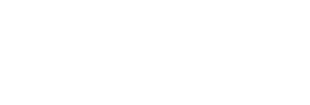 VALFLEX logo negativo