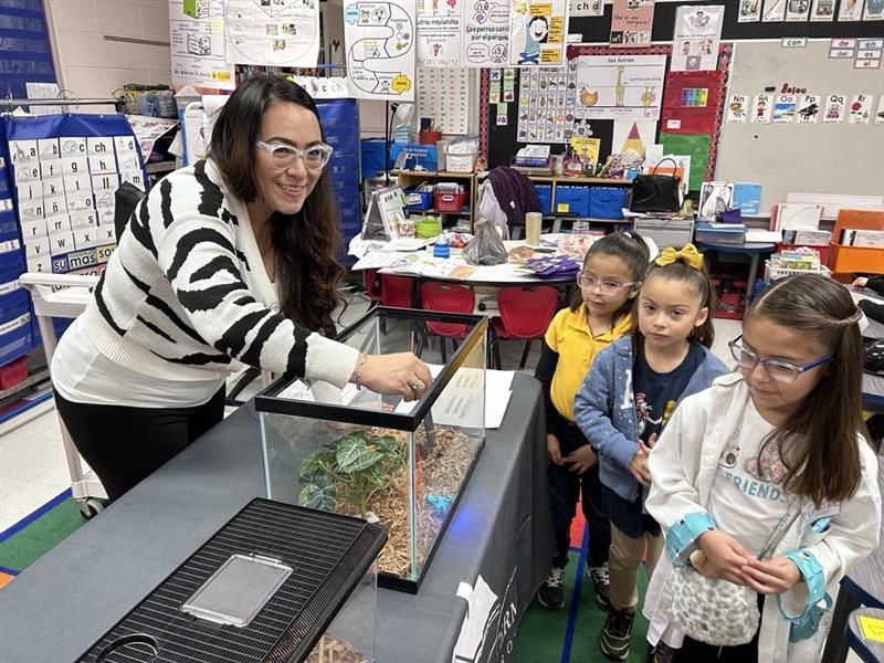 Teacher shows students a small enclosure with a glowing object in a classroom