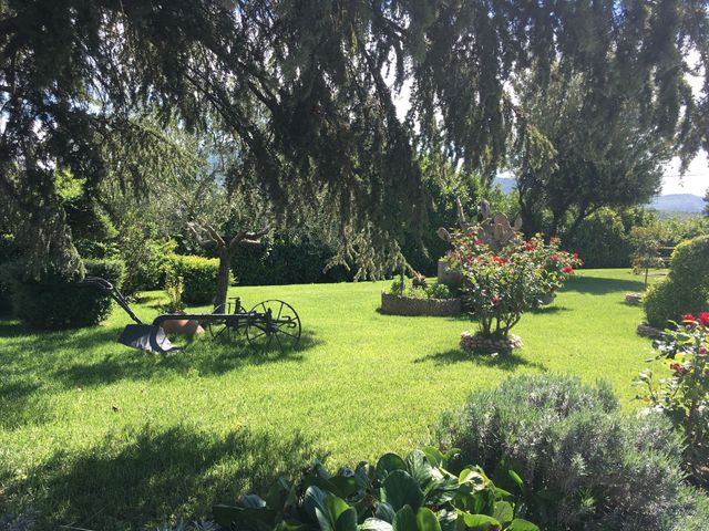 Un prato verde e rigoglioso con un piccolo carro antico, cespugli di rose e vari cespugli potati sotto un albero piangente.