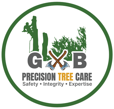 The logo for shawn 's tree care has a tree on it.