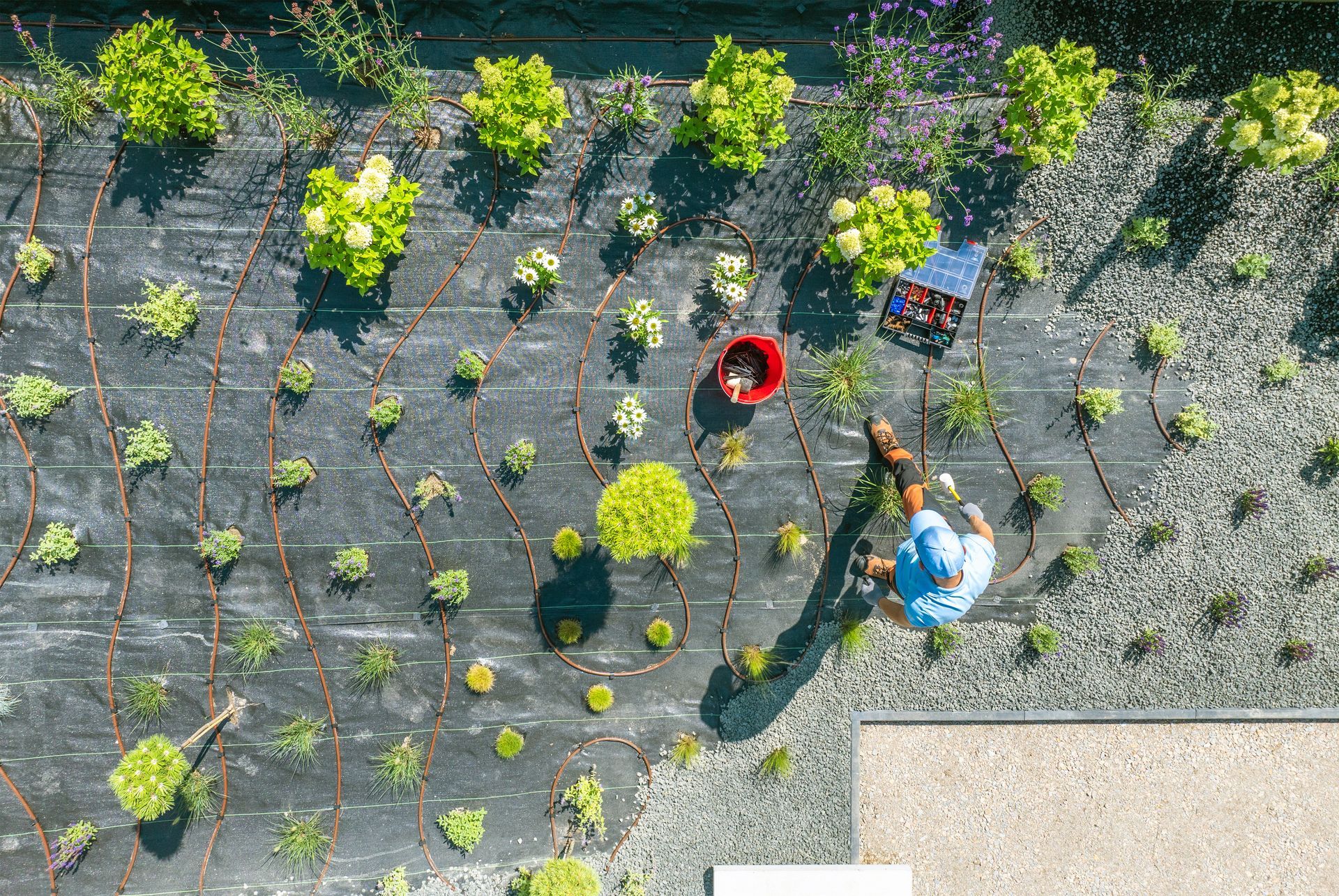 An aerial view of two people standing in a garden.