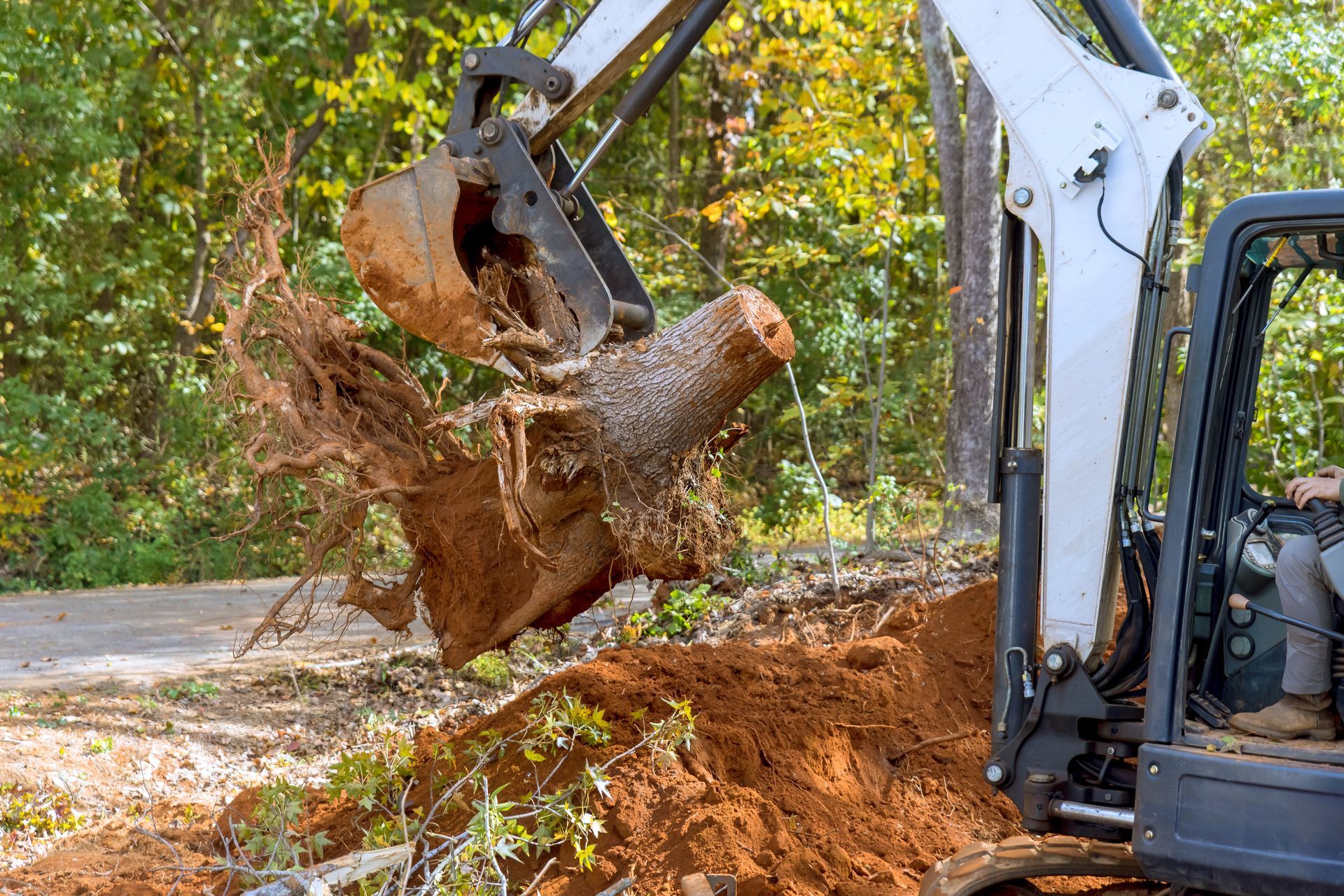 A bulldozer is digging a hole in the ground in the woods.