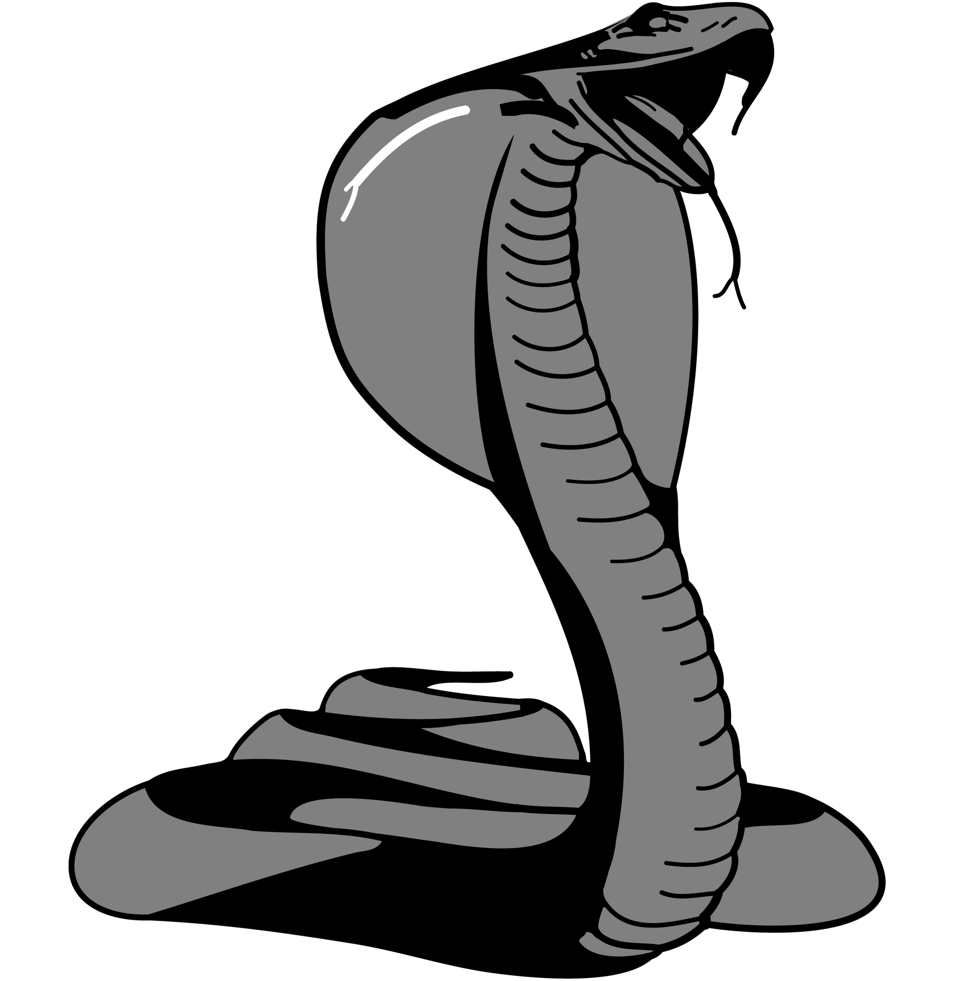 A black and white drawing of a cobra with its mouth open.