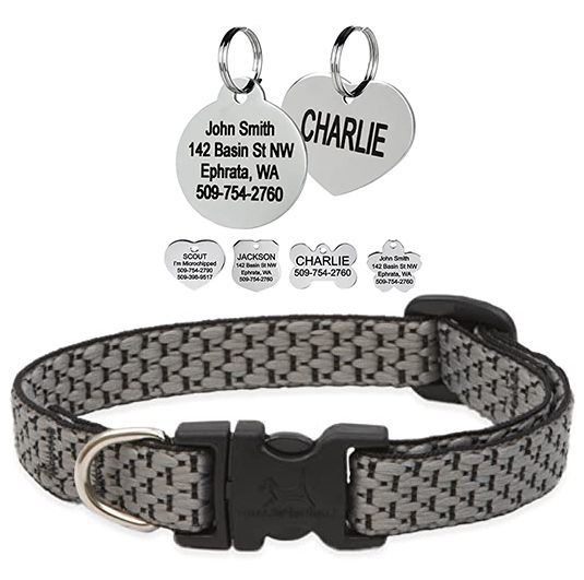 collar-and-id-leash