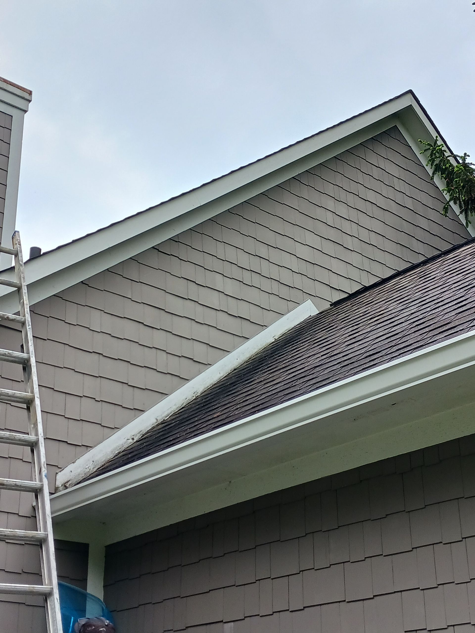 Exterior Carpentry Repair
