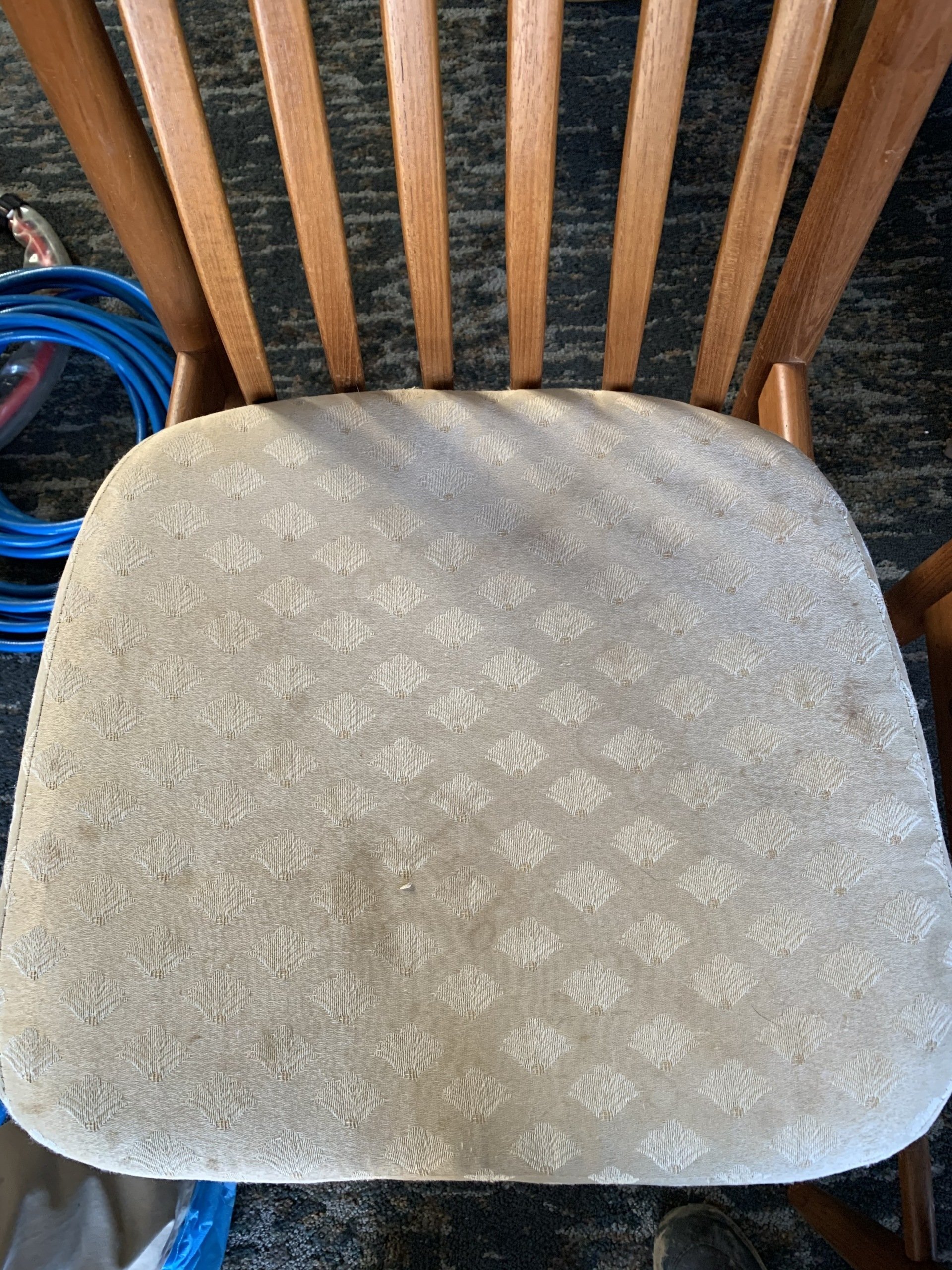 Commercial Carpet Cleaning & Office Cleaning Service in Kalamazoo MI