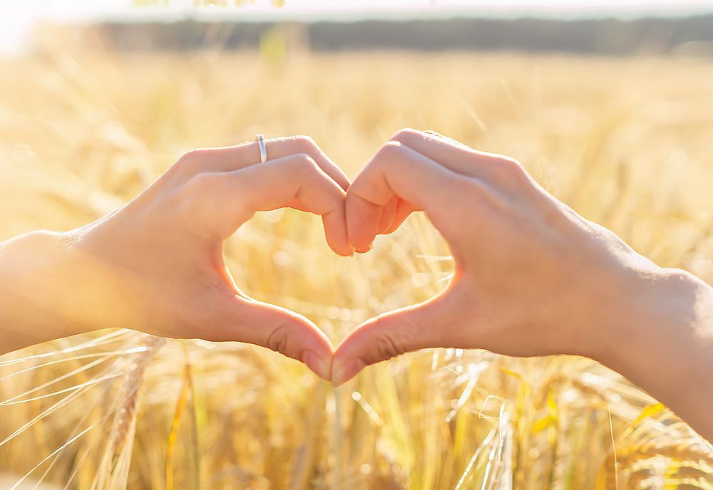 Hands forming a heart shape over a sunlit wheat field