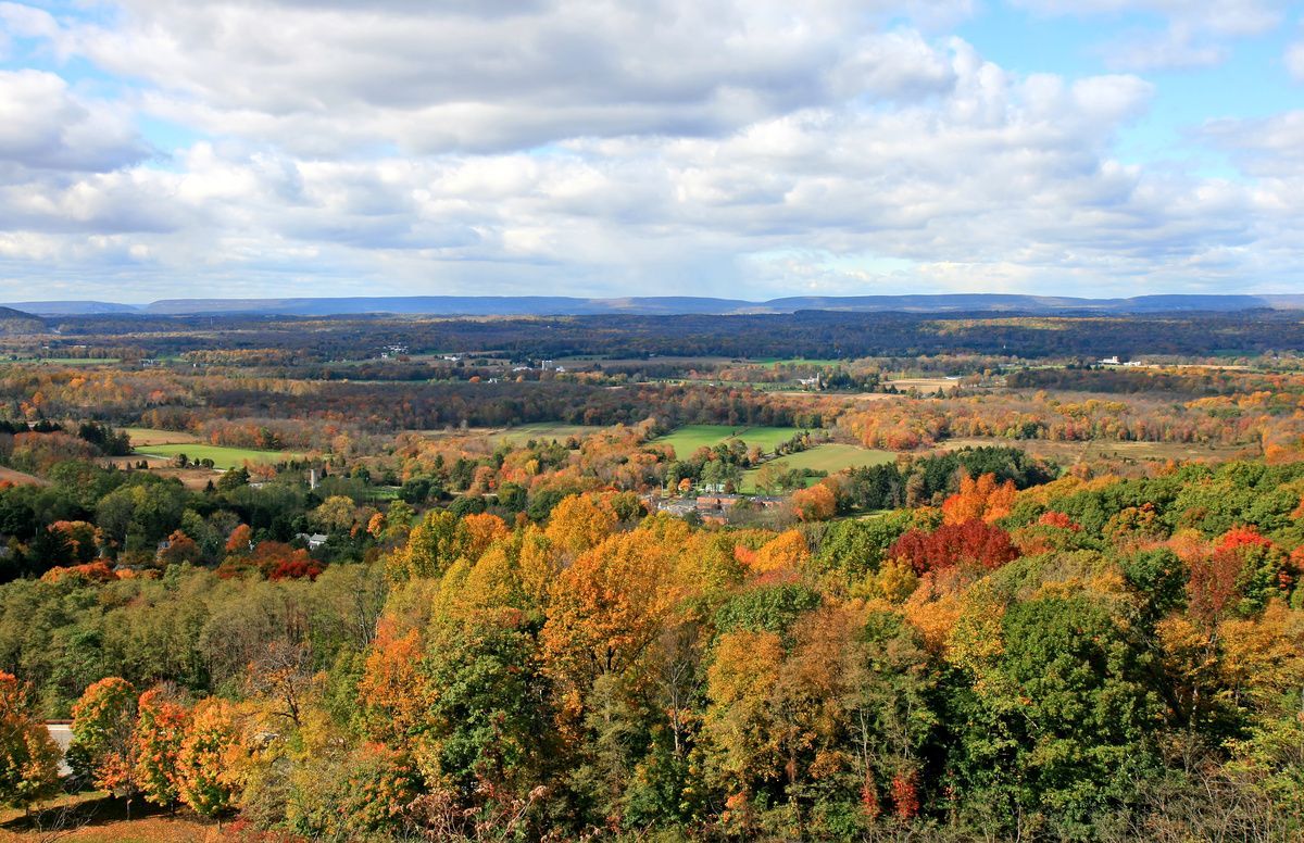 Autumn forest landscape with colorful trees beneath a cloudy sky, stretching to distant hills