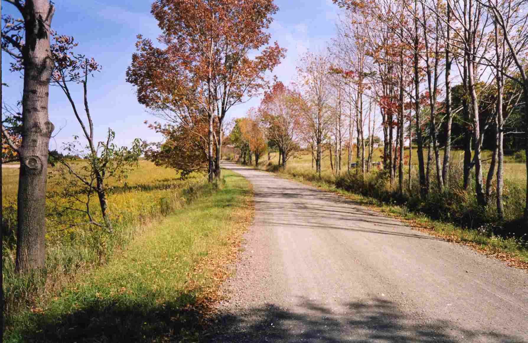 Country road curving through autumn trees and grassy fields on a sunny day