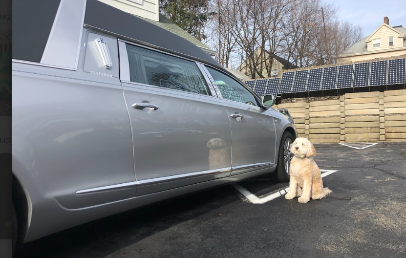 morris in front of hearse