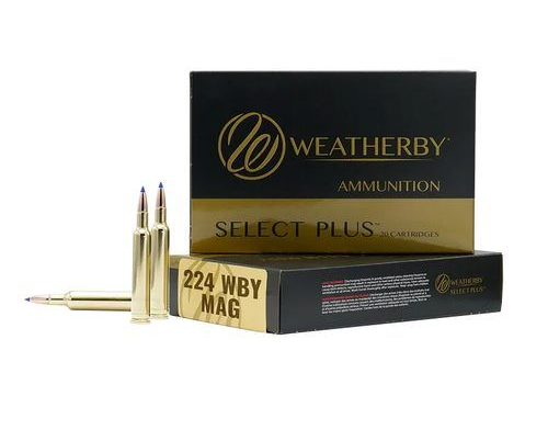 Ammo in Fort Pierce, FL Ammo in Fort Pierce, FL