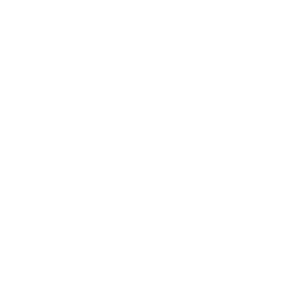 White equal housing logo