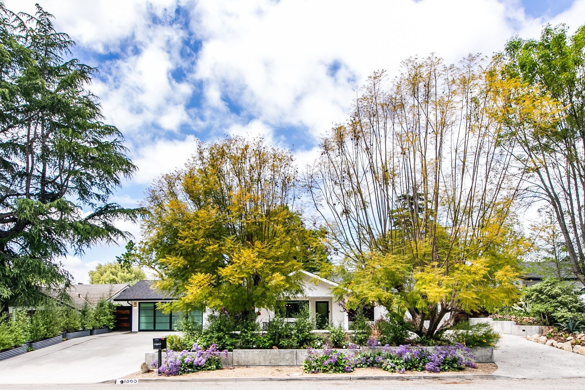 Tree-lined suburban house with a landscaped front yard, flowering shrubs, and a bright blue sky