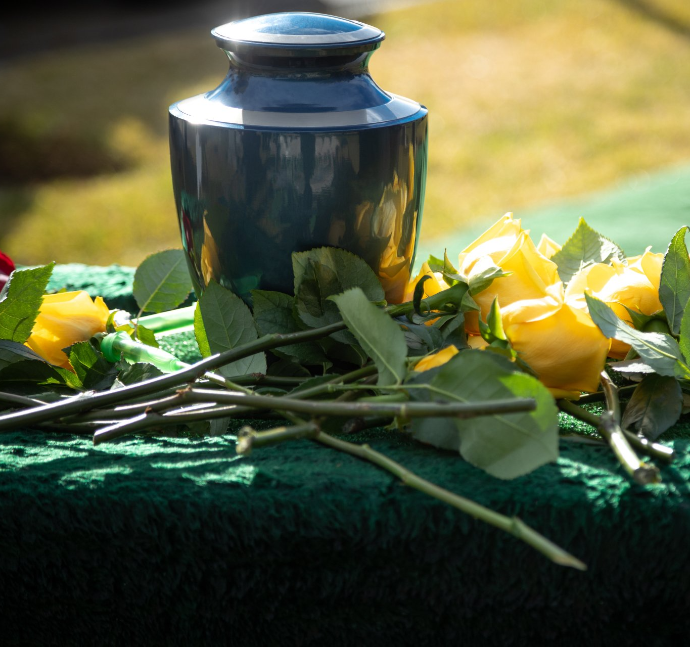 Services We Offer Bradshaw Funeral & Cremation White Bear,MN 55128