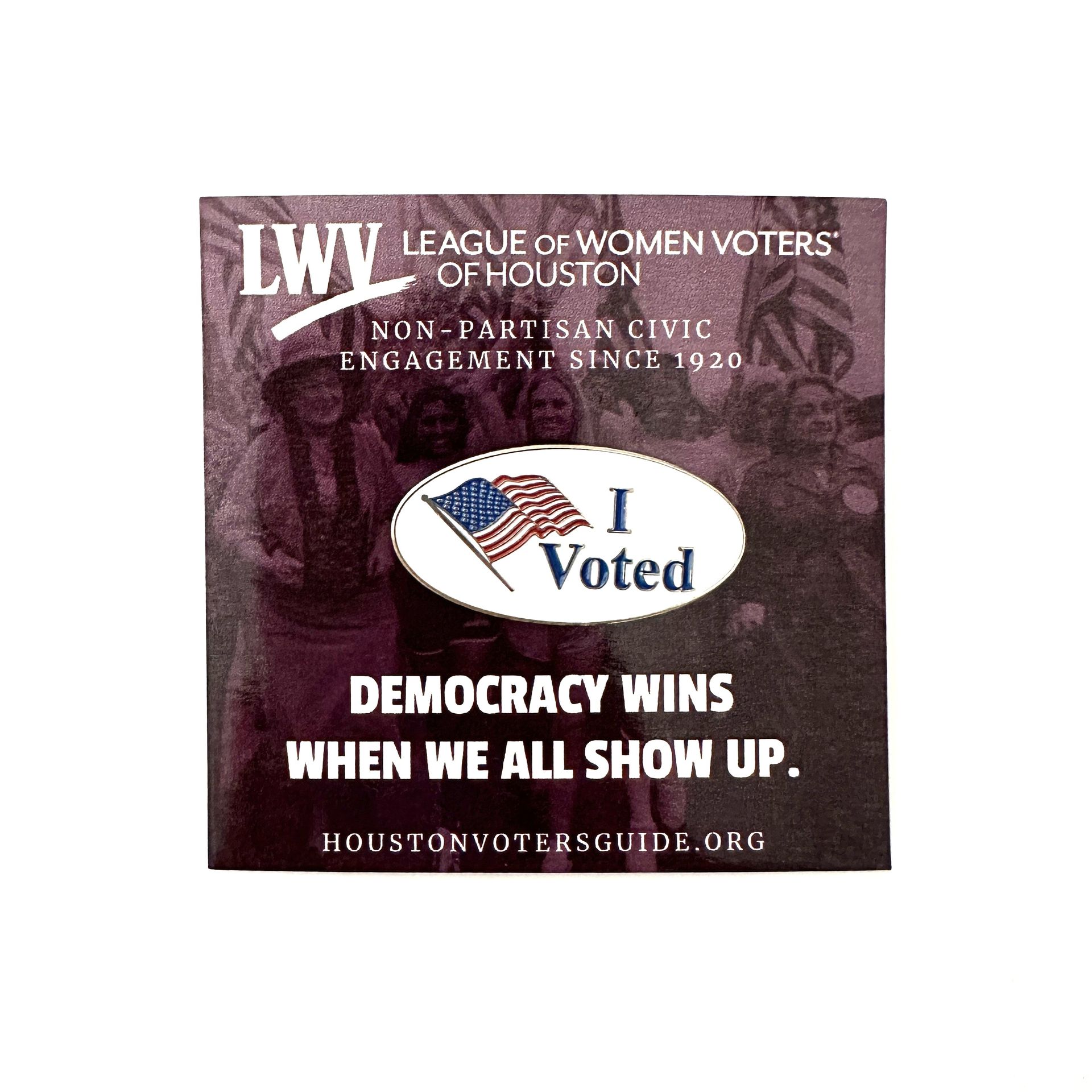 i voted today pin