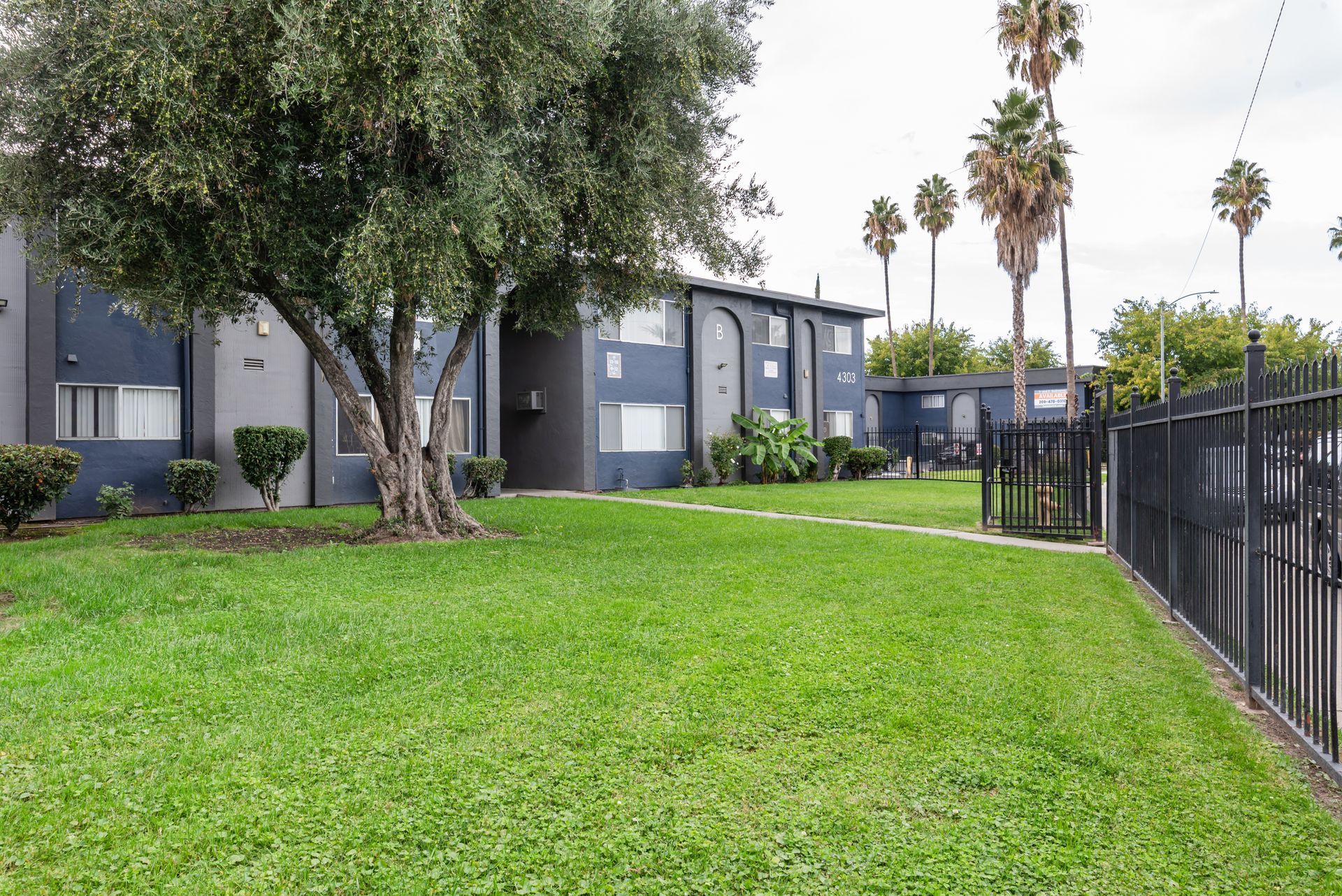 Apartment building with dark blue exterior, green lawn, and palm trees. Black metal fence.