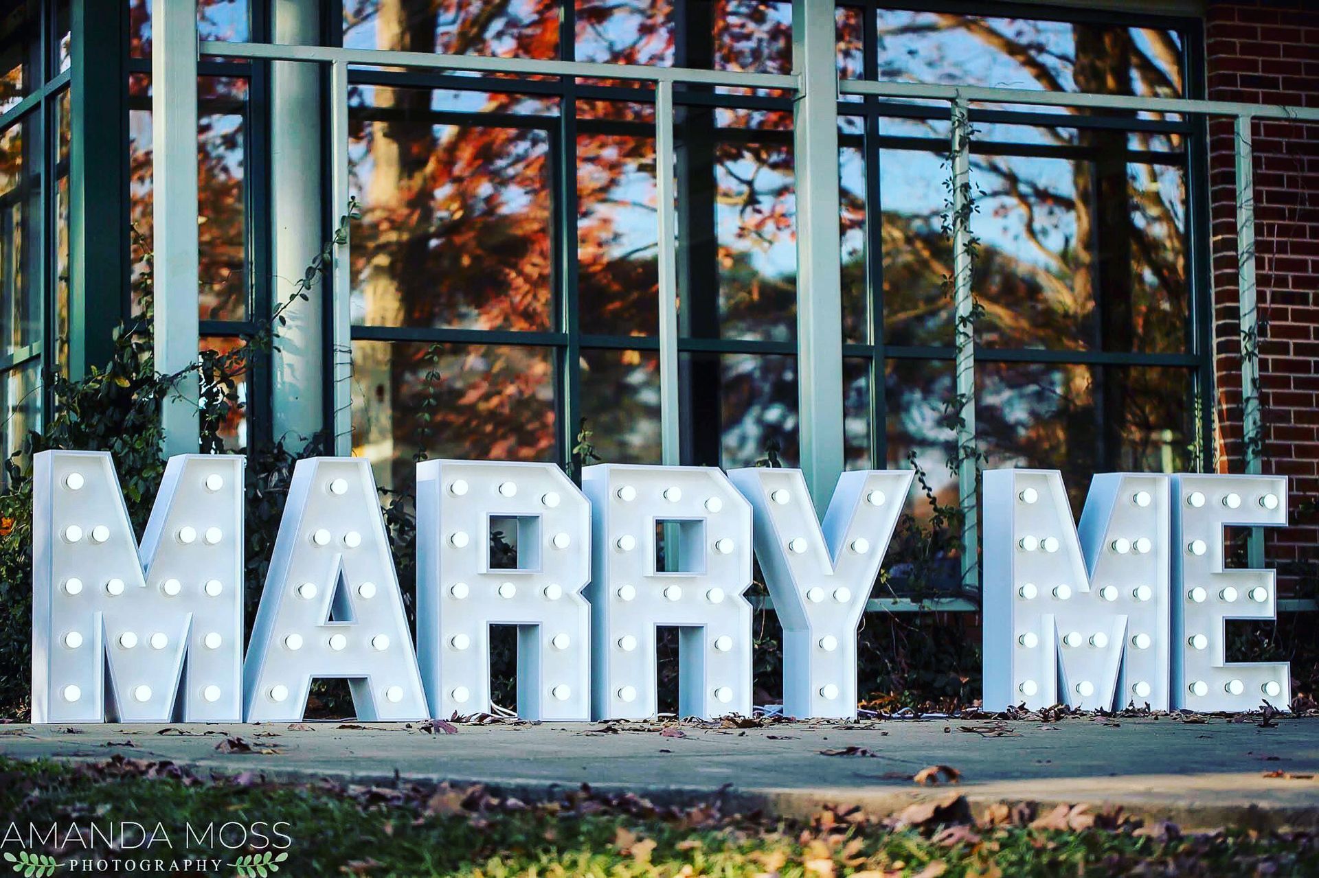 Marquee Lights Rental Charlotte NC
