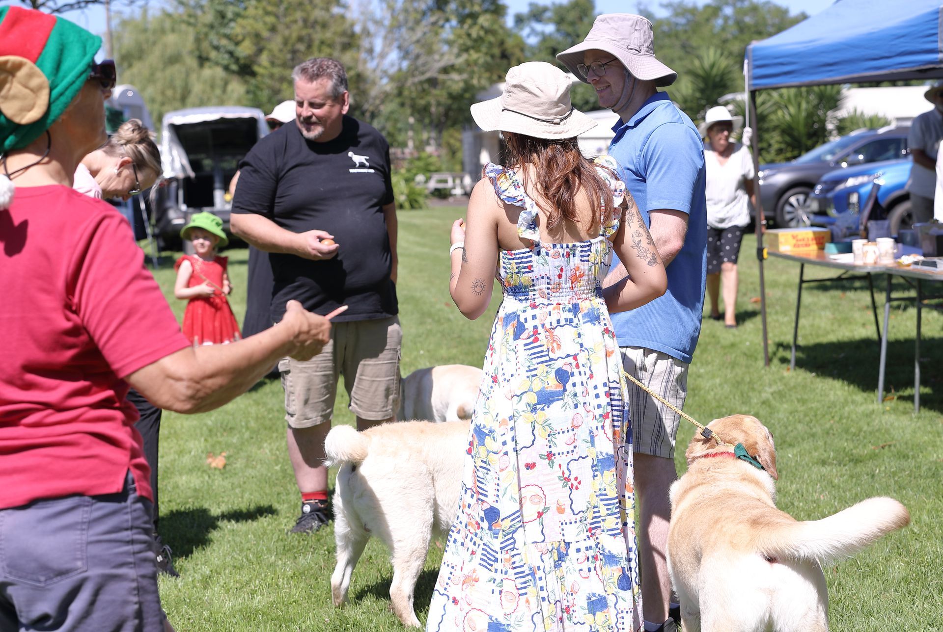People with dogs at an outdoor event on a sunny day.
