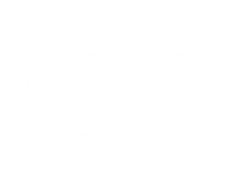 A white background with a few lines on it