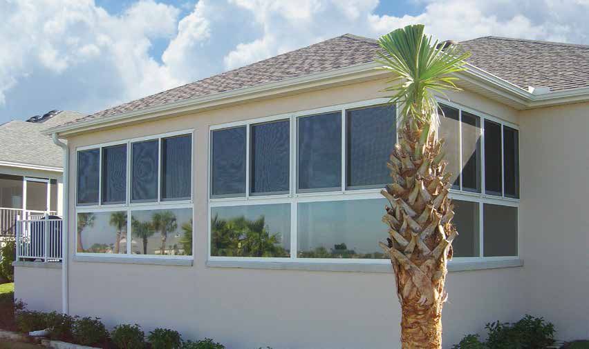 Single-story house with large windows and a palm tree in the front yard