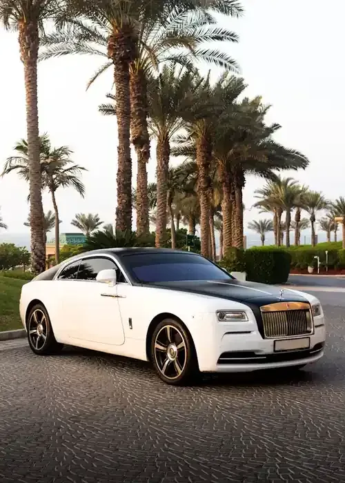 White Rolls-Royce coupe parked on cobblestones with palm trees in the background