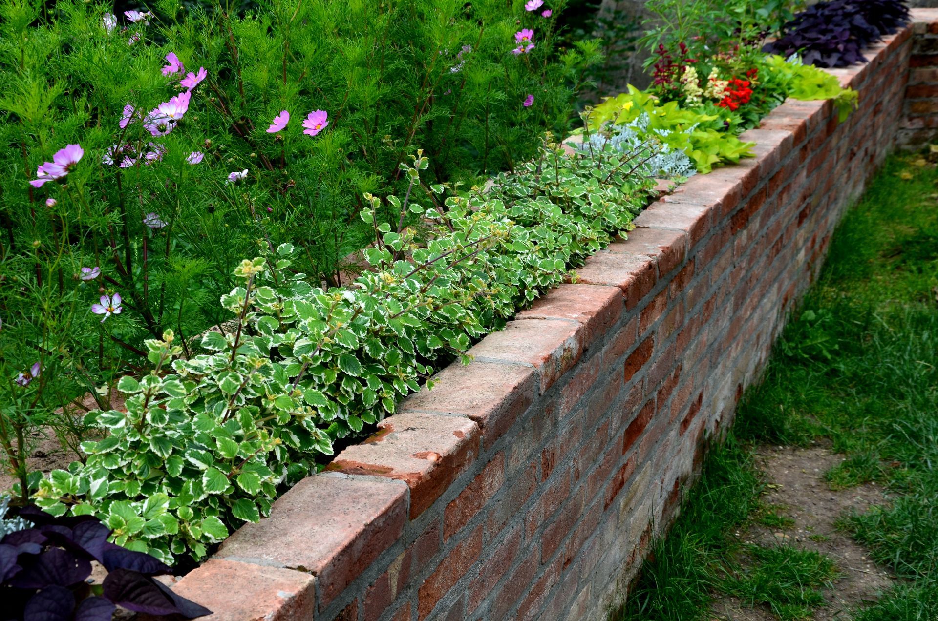 A brick wall surrounded by plants and flowers in a garden | Louisville, KY | S & S Concrete Inc.