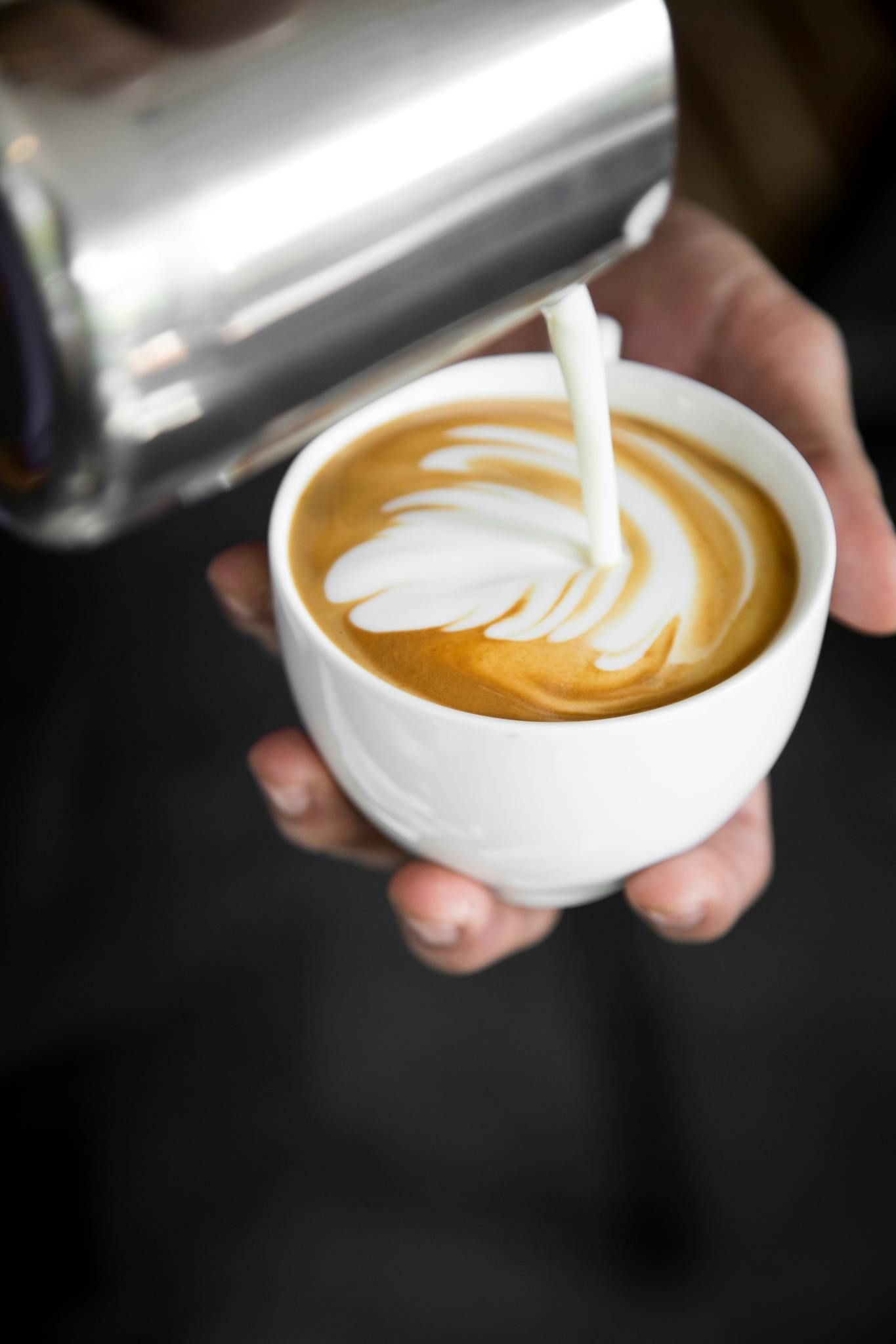 Fire Group Temp Barista