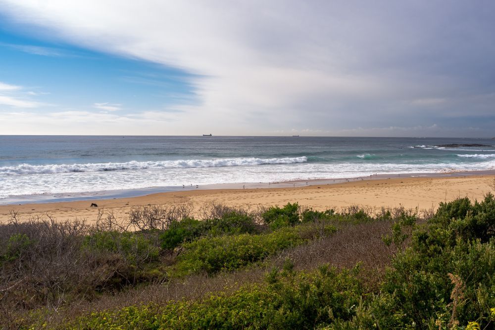 Sandy Beach With Ocean Waves — Dave's Drive U Anywhere 24/7 Mini Van Hire In Bulli, NSW