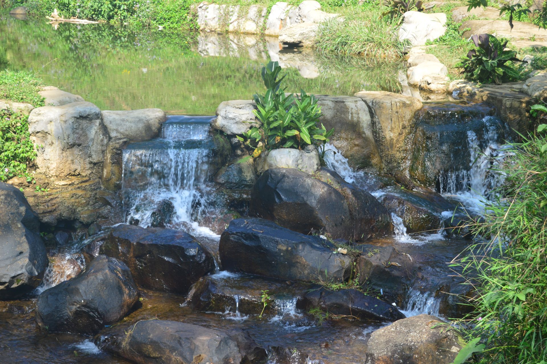 Small Waterfall Cascading Over Rocks — Dave's Drive U Anywhere 24/7 Mini Van Hire In Fairy Meadow, NSW