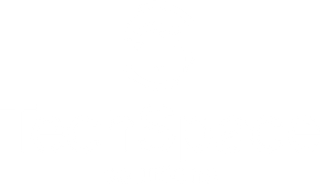 TechSpace Solutions TechSpace Solutions