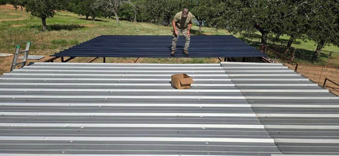 Person working on a corrugated metal roof in a rural area, with trees and a dog nearby.