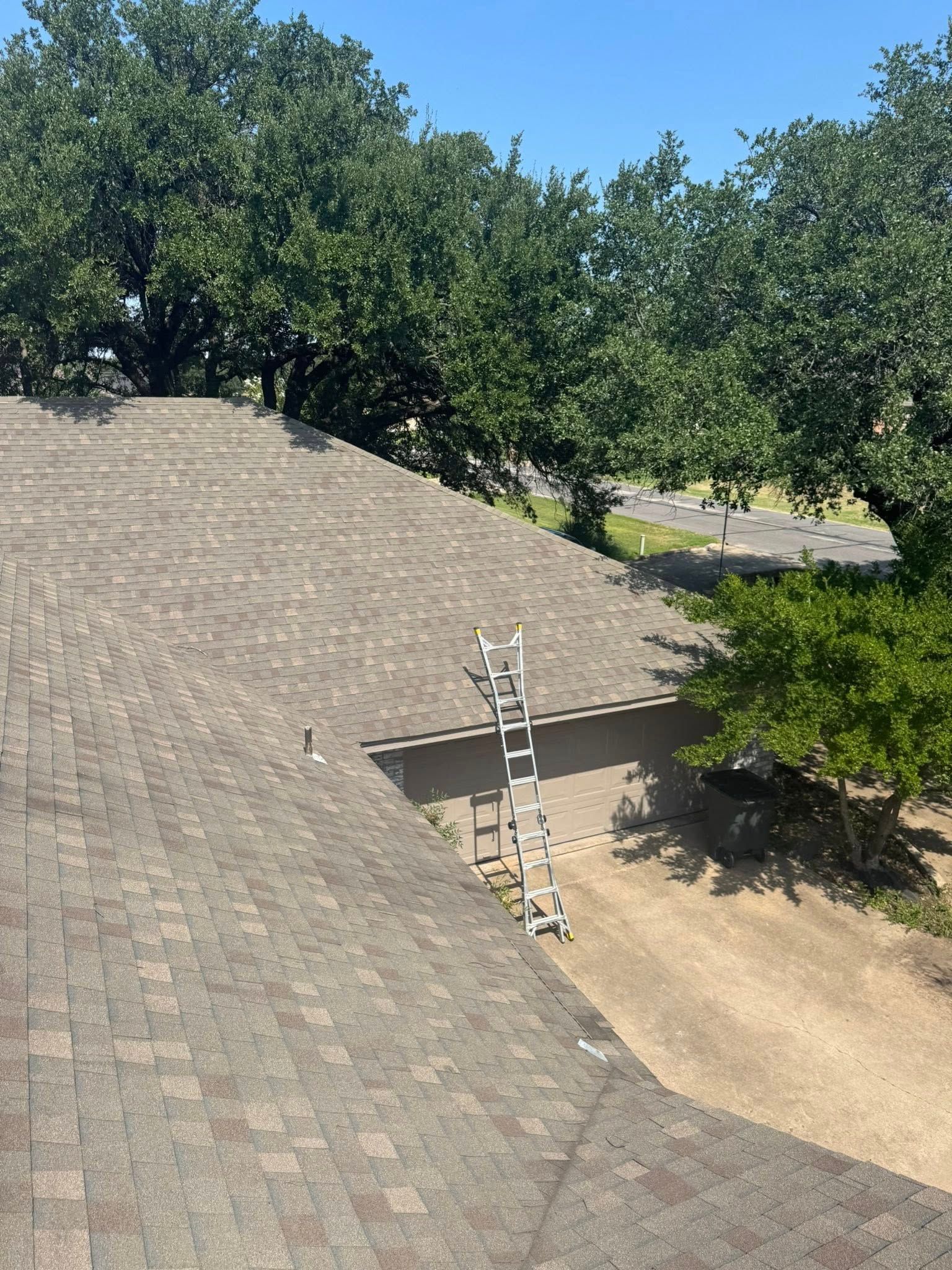 Steep gray shingled roof with a ladder leaning against it, surrounded by trees and dirt ground.