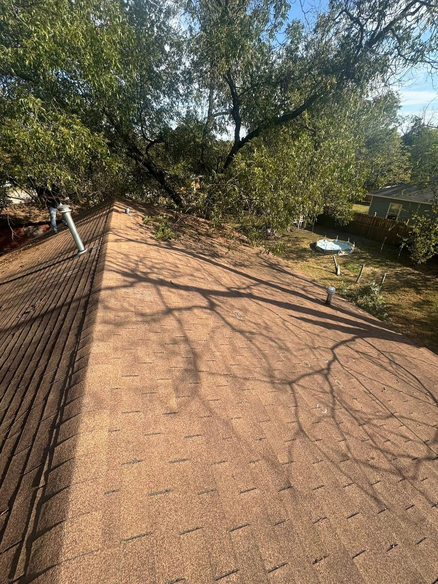 Wooden deck beside a sunlit yard with trees casting long shadows and a fence on the left.