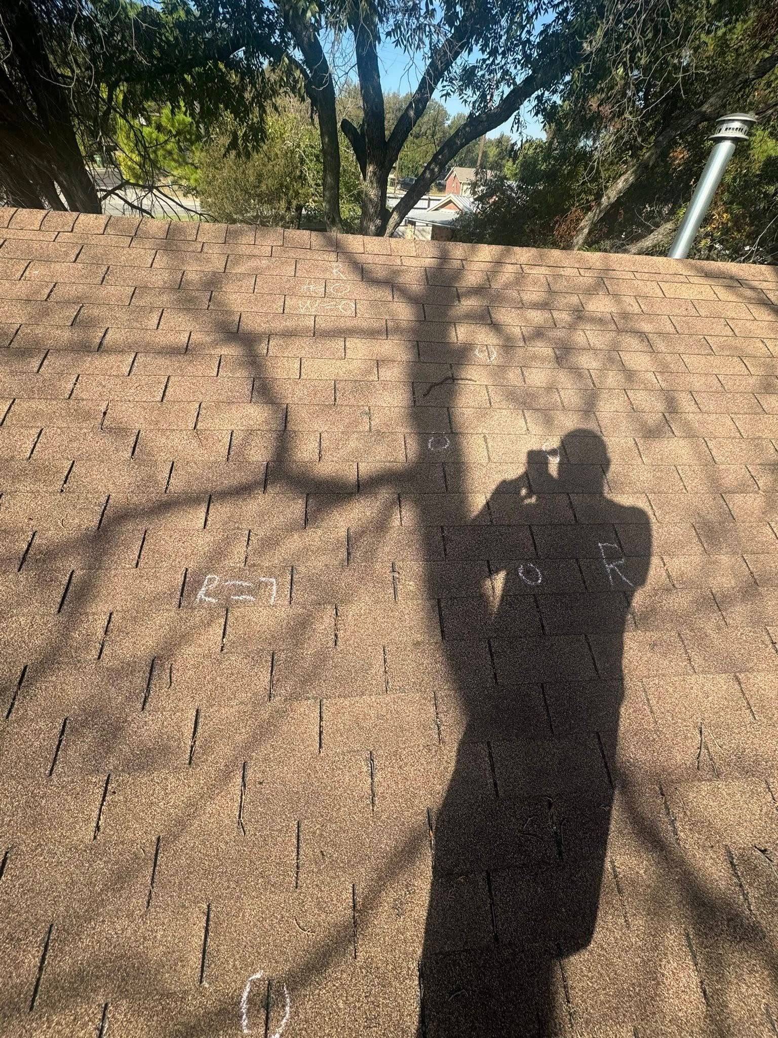 Person’s shadow on a dirt embankment with tree shadows and a wooded background.