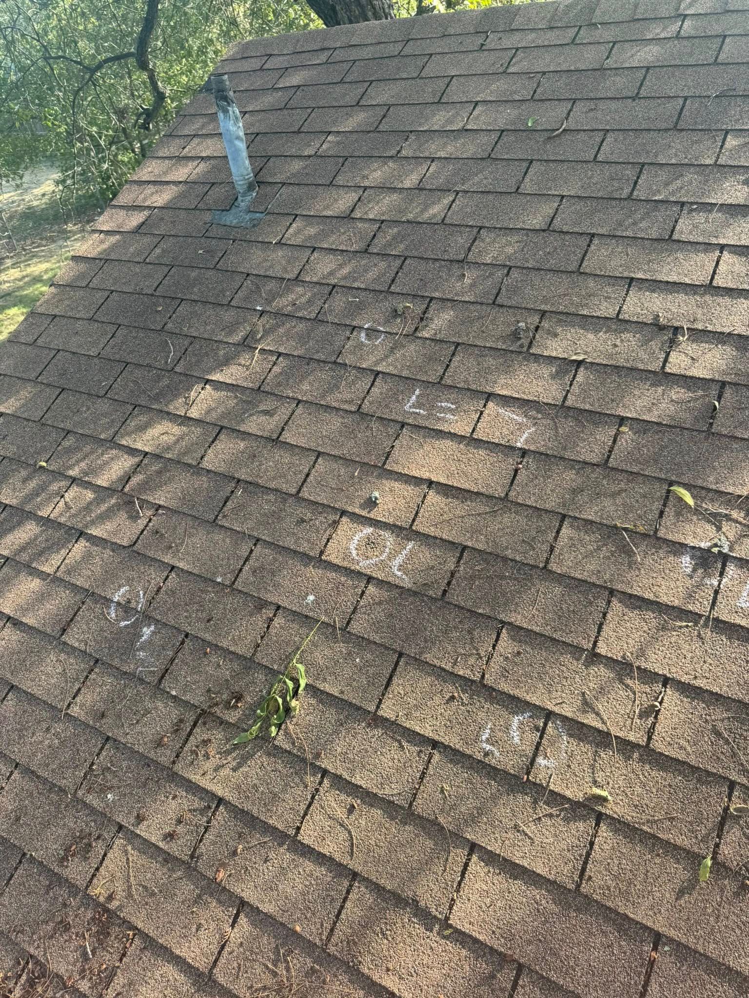 Weathered shingled roof with a blue vent pipe and moss, viewed from above