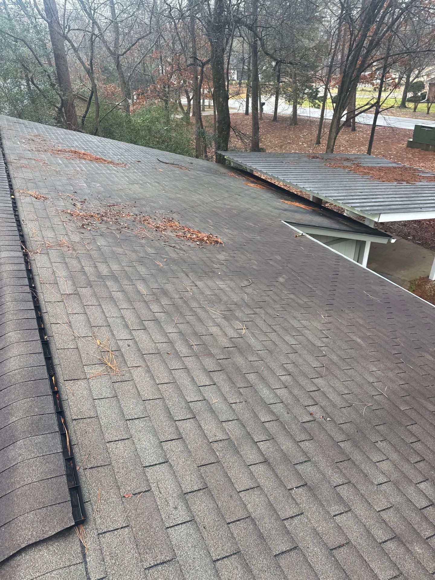 Wet shingled roof with fallen leaves beside bare trees and a walkway in the background