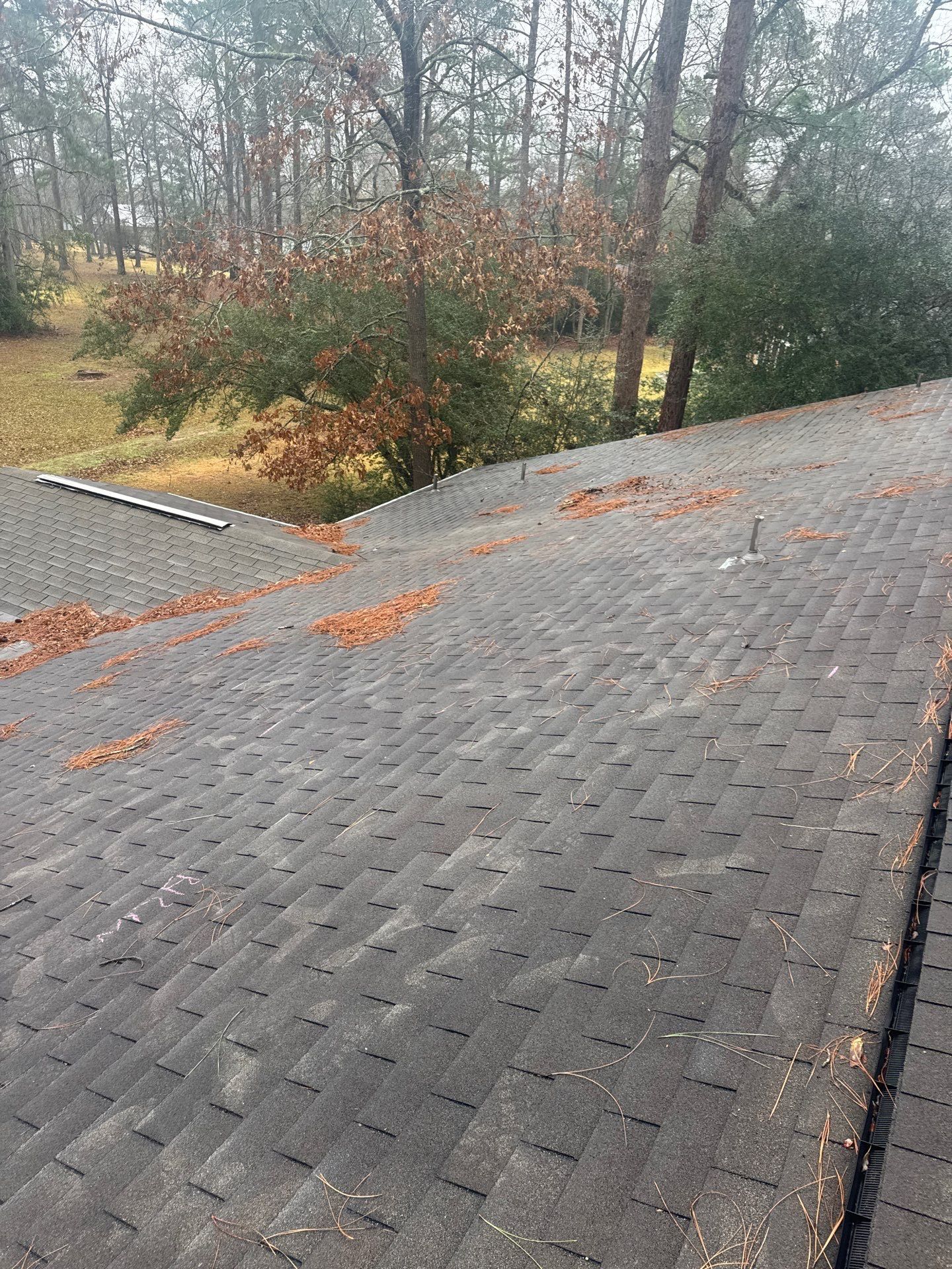 Gray shingled roof with orange leaves, overlooking leafless trees and a grassy yard on a cloudy day