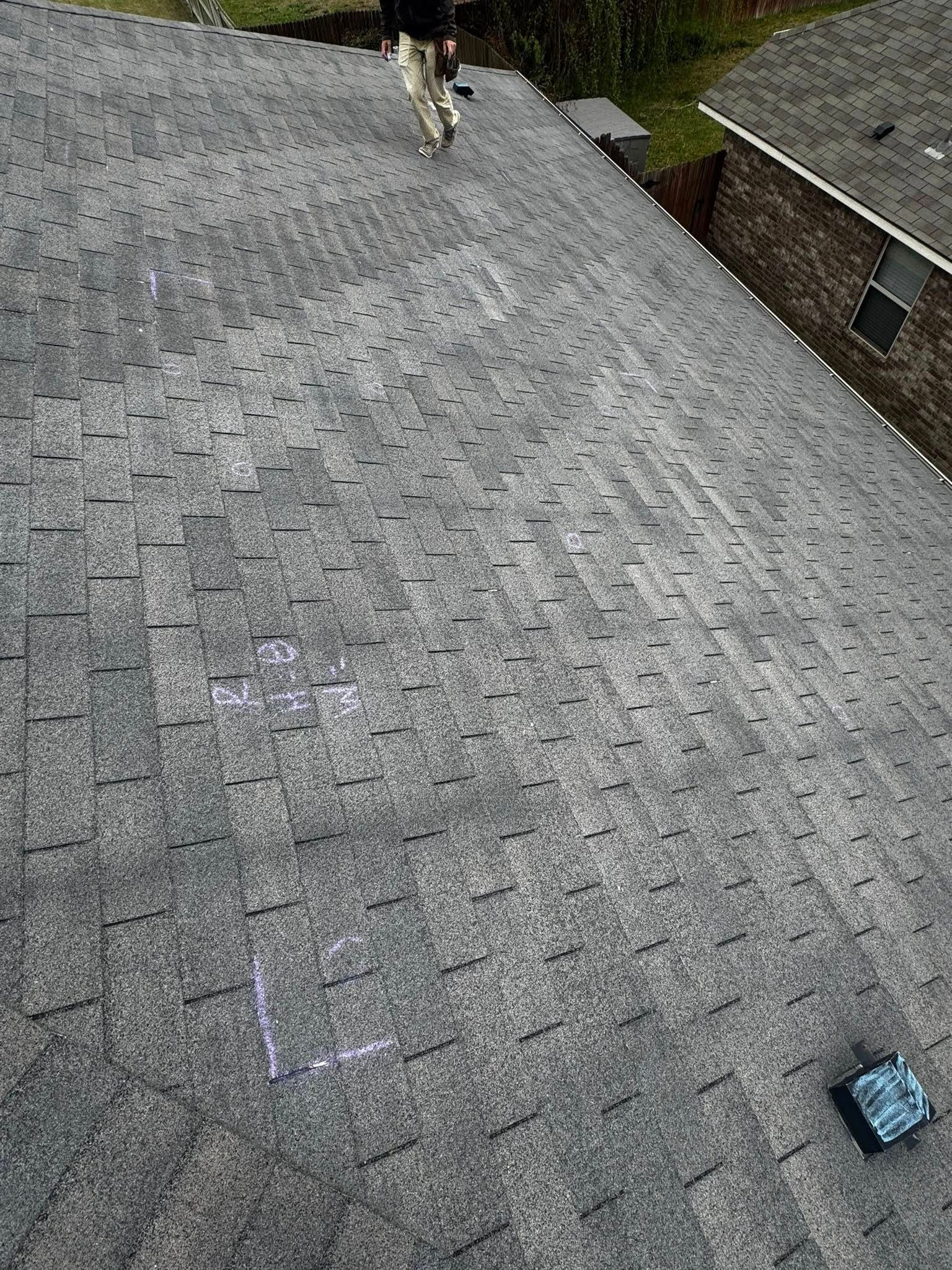 Cat on a gray shingled roof near a blue object by a house wall