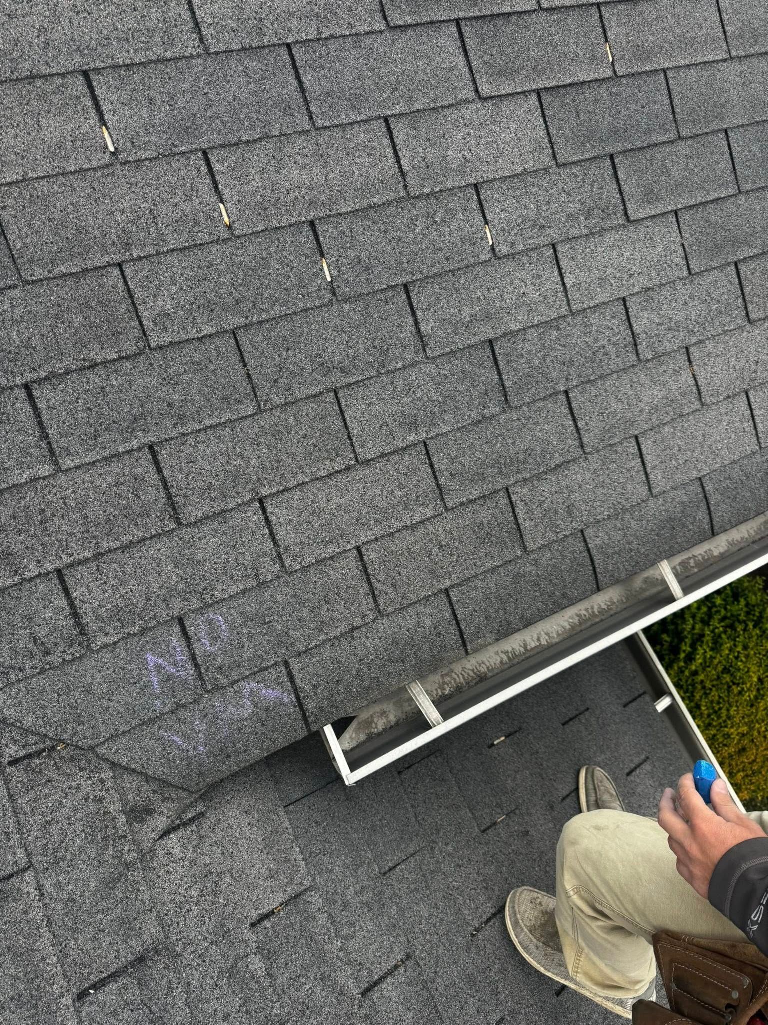 Person inspecting gray shingle roof with a ladder and tools at the edge