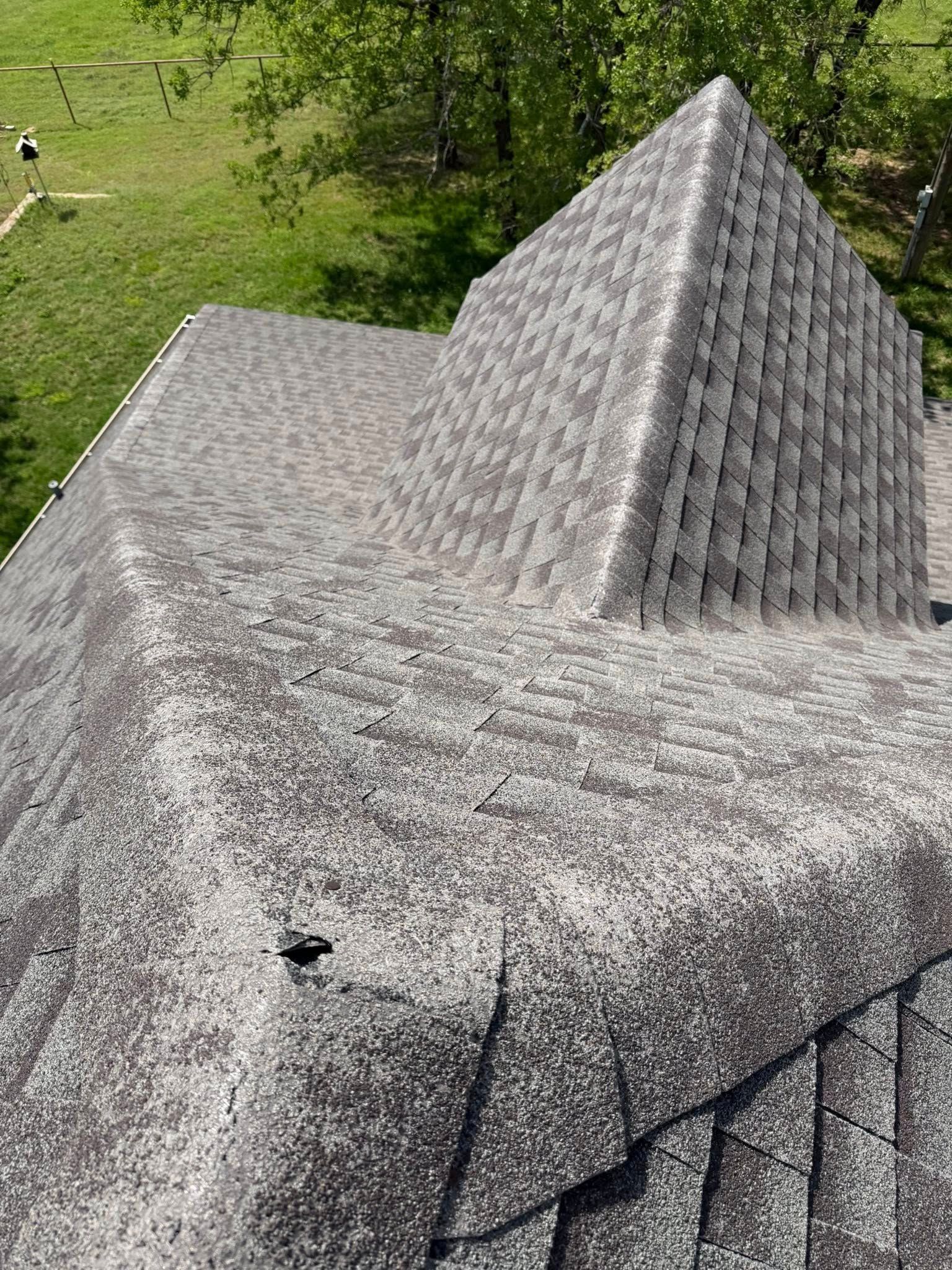 Close-up of a gray shingled roof with a tall conical turret against green grass and trees.