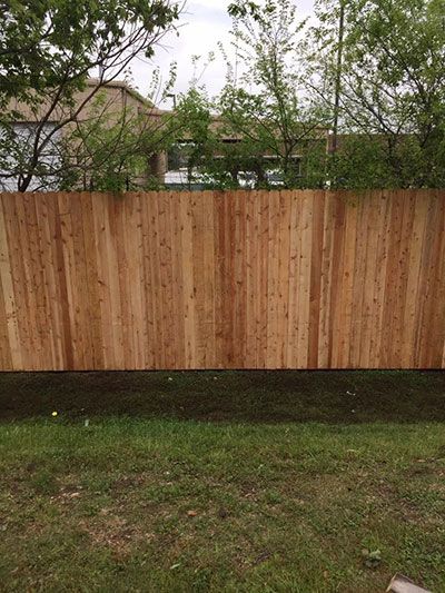 cedar fence