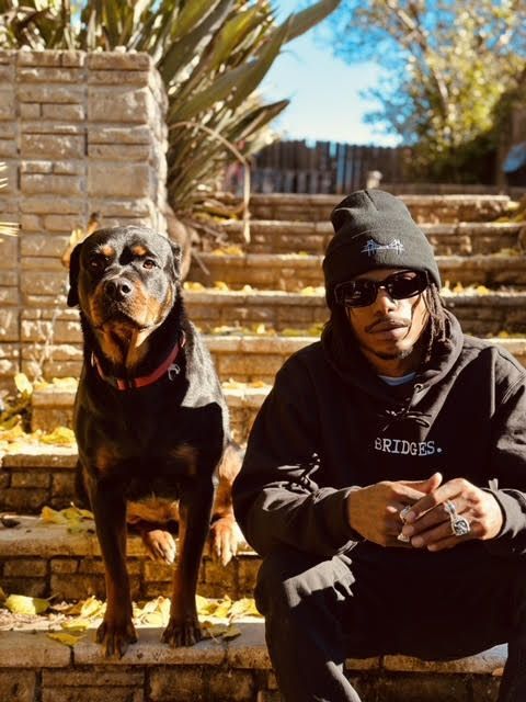 Bridges. Beanie Black/White