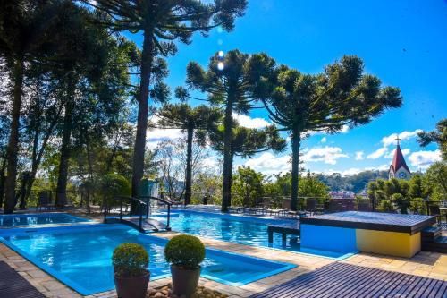 Piscina ensolarada de resort com água azul, área de descanso e palmeiras sob um céu claro.
