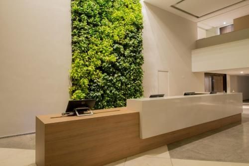 Hall de entrada moderno com balcão de recepção em madeira e branco e uma alta parede verde com plantas.