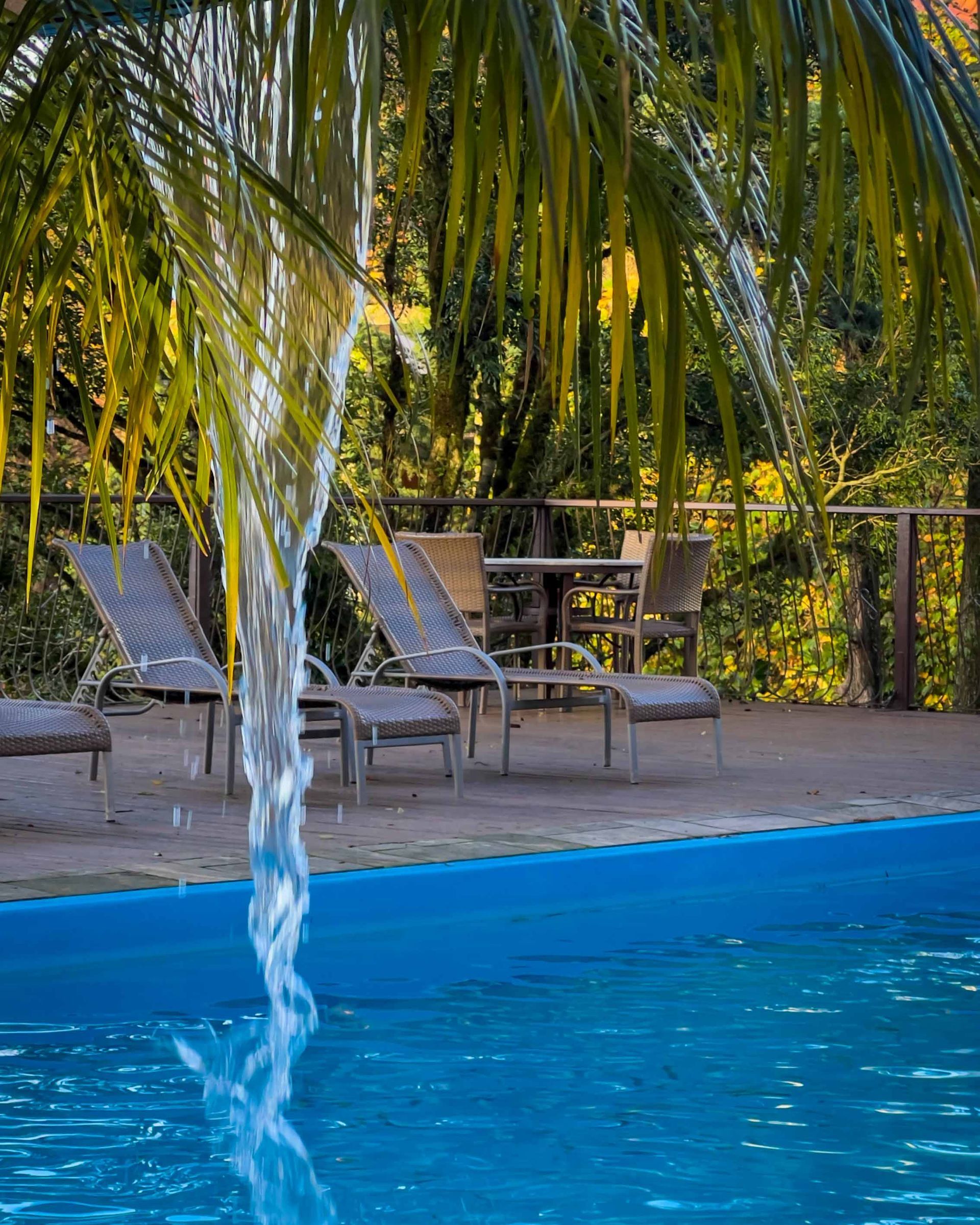 Folhas de palmeira sobre uma piscina azul com espreguiçadeiras em um deck ensolarado.