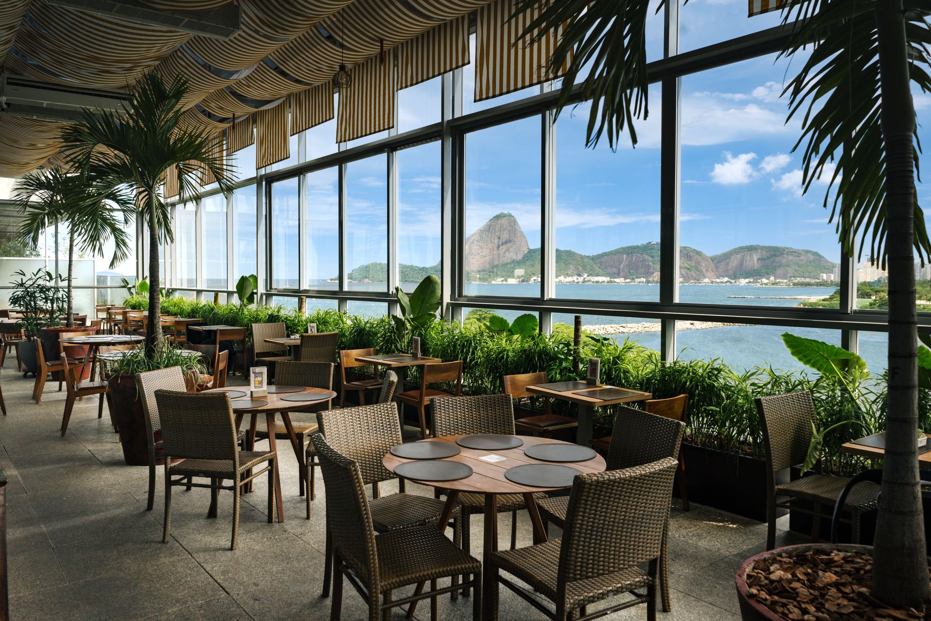 Sala de espera moderna de aeroporto com assentos, piso de madeira, paredes de vidro e balcão de check-in ao fundo.